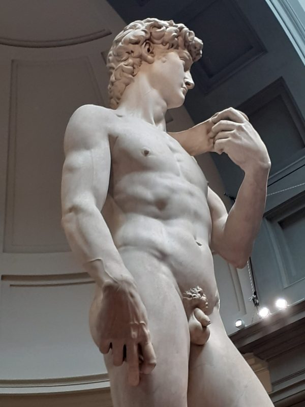 Il David di Michelangelo, tra le attrazioni di Firenze