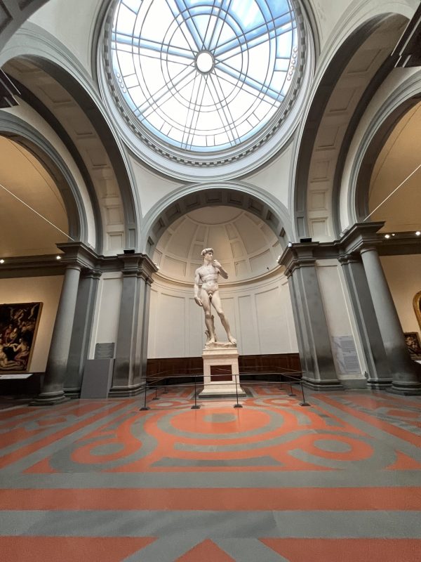 Il David di Michelangelo alla Galleria dell'Accademia a Firenze